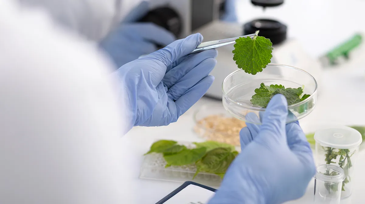 ORGAYUSH: The Complete Wellness